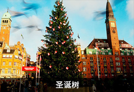 廣東蒙泰高新纖維股份有限公司，蒙泰紡織，蒙泰絲，丙綸異形絲，丙綸FDY網絡絲，丙綸FDY倍捻絲，差別化丙綸纖維絲，丙綸DTY絲，丙綸細旦絲，超細旦丙綸絲，丙綸網絡絲，丙綸異形絲，丙綸中空絲，高強丙綸倍捻絲，丙綸倍捻絲，蒙泰丙綸DTY絲，廣東蒙泰